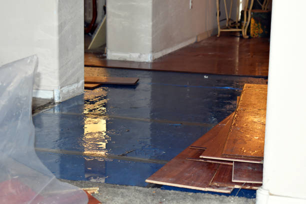 Professional Water Damage Repair technician working in Lawrence, IN